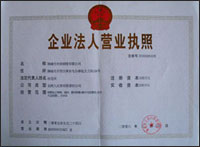 II(y)(zh)